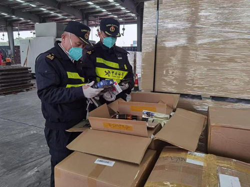 集装箱里的“百货公司” 外港海关查获夹藏零售消费品258箱